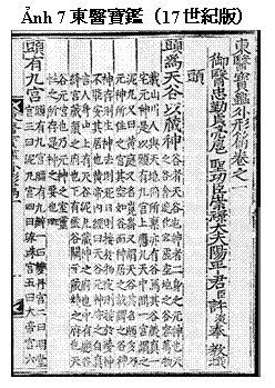 テキスト ボックス: Ảnh 7東醫寶鑑（17世紀版）     